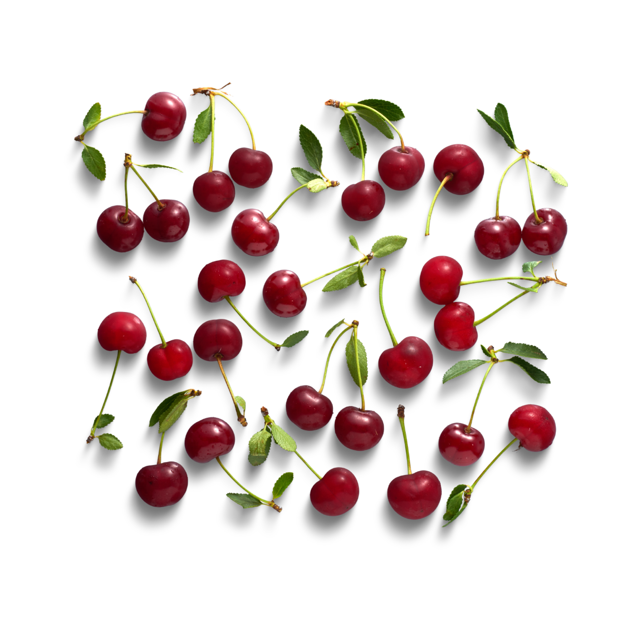 The Little Purple Barn (Cherries Active) — MurrayFamilyFarms